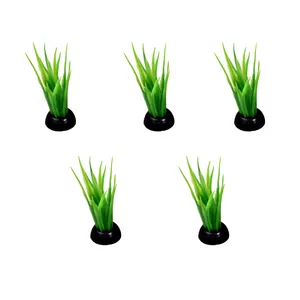 گیاه آکواریوم کد 006 بسته 5 عددی