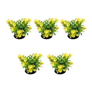 گیاه آکواریوم کد 007 بسته 5 عددی