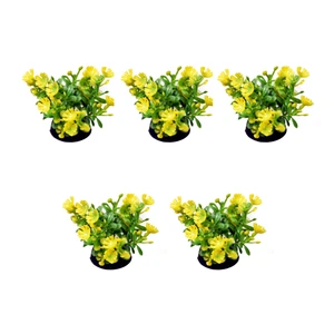 گیاه آکواریوم کد 007 بسته 5 عددی