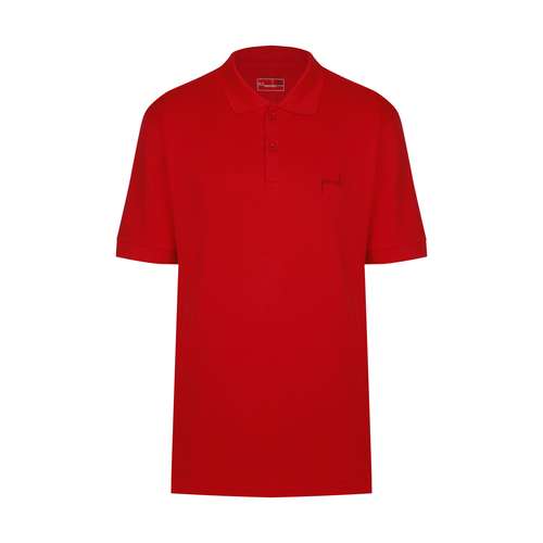 پولوشرت ورزشی مردانه پانیل مدل 104R-72