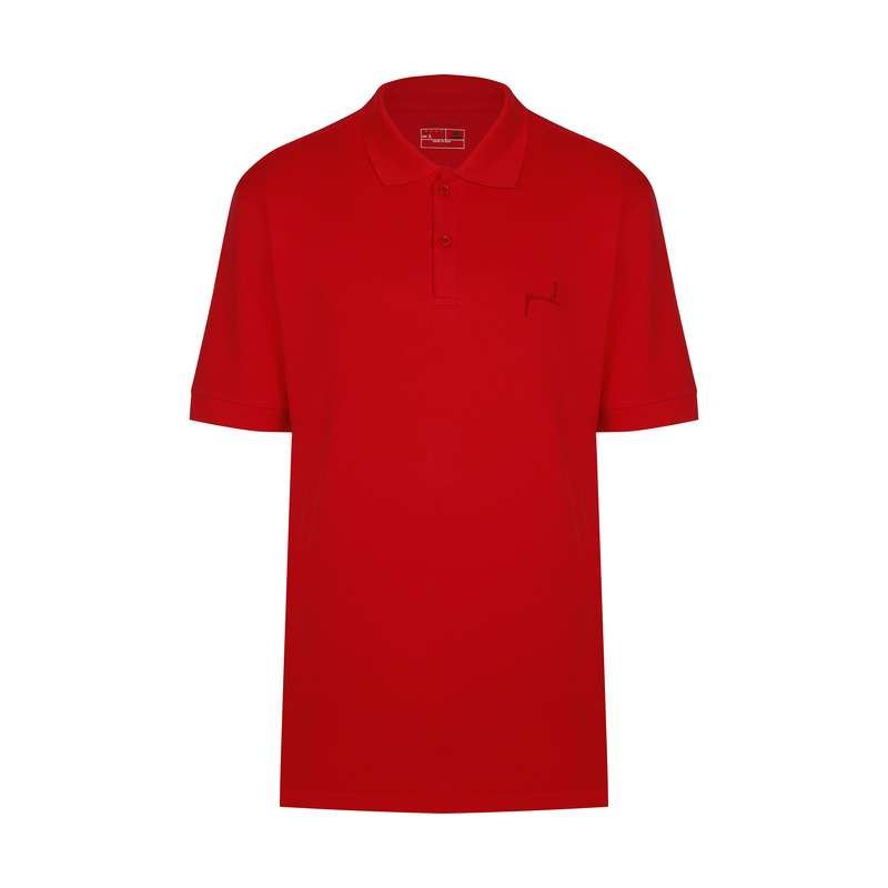 پولوشرت ورزشی مردانه پانیل مدل 104R-72