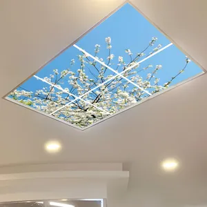 تایل سقفی آسمان مجازی مدل SK-429-2x3 سایز 60x60 مجموعه شش عددی