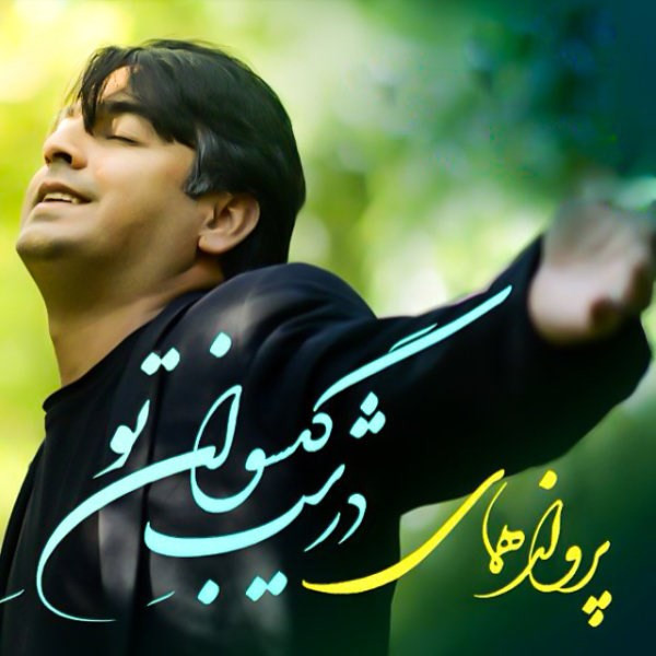 آلبوم موسیقی در شب گیسوان تو اثر پرواز همای آلبوم موسیقی در شب گیسوان تو اثر پرواز همای