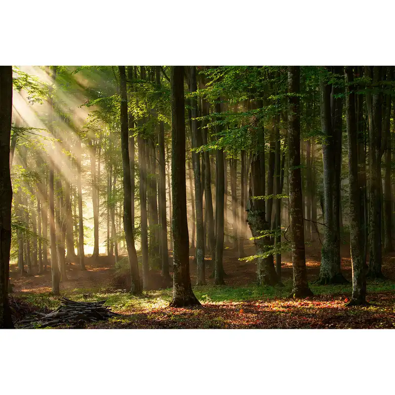 تابلو شاسی طرح طبیعت ارامش بخش کد 192