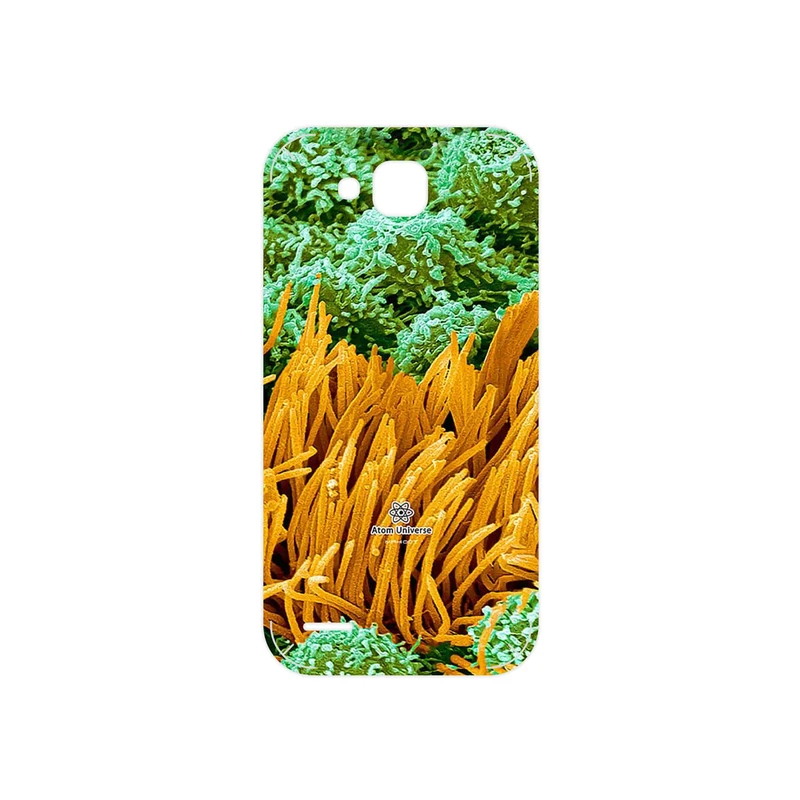 برچسب پوششی ماهوت مدل Atom Universe 6 مناسب برای گوشی موبایل هوآوی Ascend G750