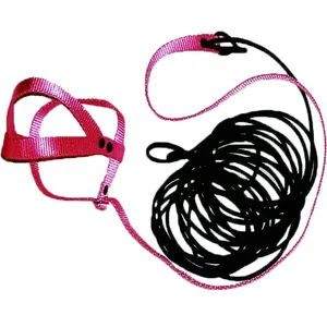 Aviator Parrot Harness Medium