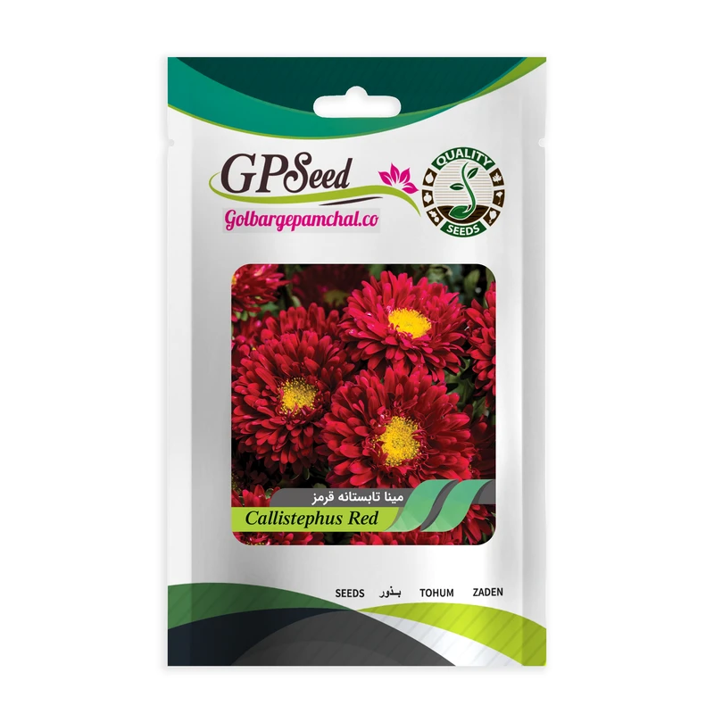 بذر گل مینا تابستانه قرمز گلبرگ پامچال کد GPF-271