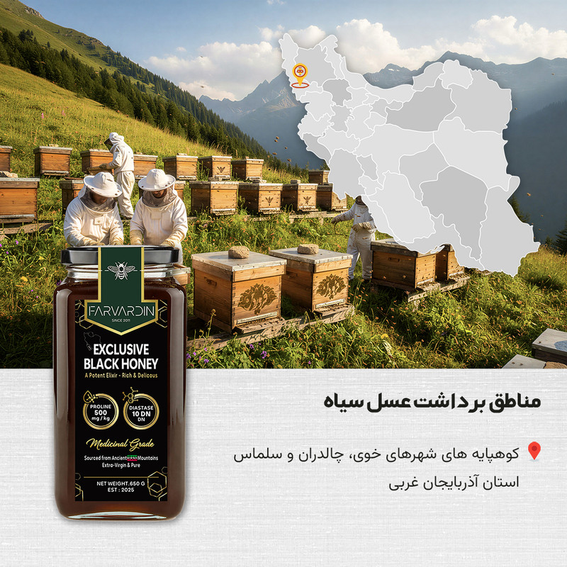 عسل بدون موم طبیعی سیاه فروردین - 650 گرم