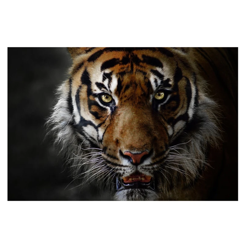 تابلو شاسی طرح ببر کد h139