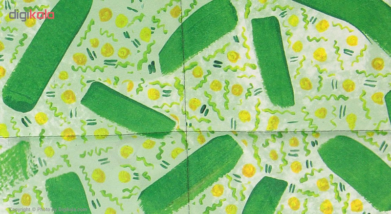 فرش پارچه ای گوشه سایز 50 × 70 سانتی متر کد 21