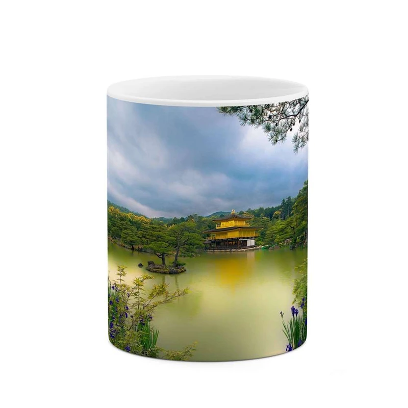 ماگ کاکتی مدل خانه ای در آب کد mgh11364