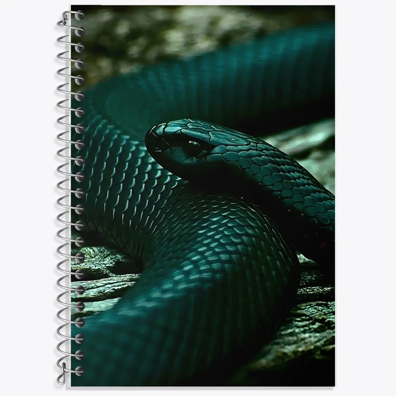 دفتر زبان 50 برگ خندالو مدل سه خط طرح مار سیاه کد F1335