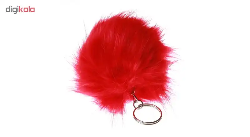 جاسوییچی کد 691