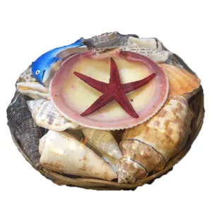 دکوری آکواریوم مدل A-02