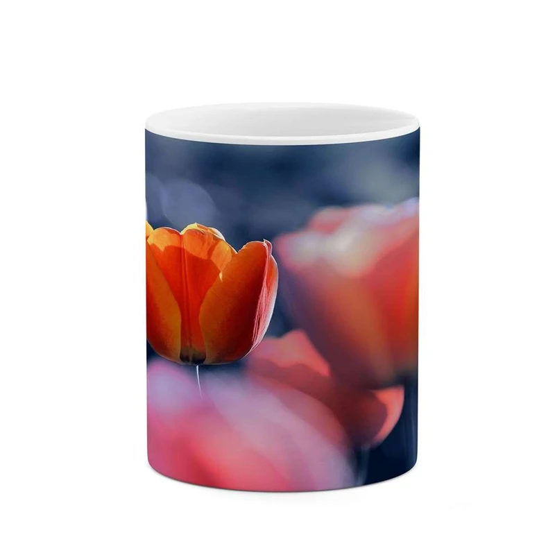 ماگ کاکتی مدل گل کد mgh16621