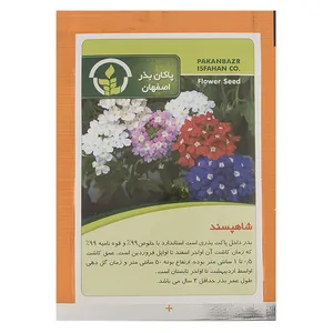 Pakan Bazr Verbena Flower Seeds