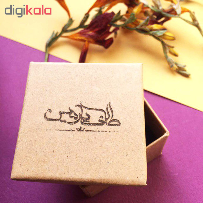 گردنبند نقره طلای پارمین طرح این نیز بگذرد کد GSH131