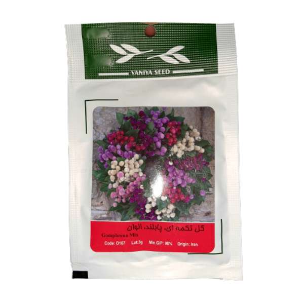 بذر گل تکمه ای پابلند الوان وانیا سید مدل 0167