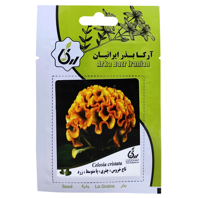 بذر گل تاج خروس چتری پامتوسط زرد آرکا بذر ایرانیان کد ARK-082