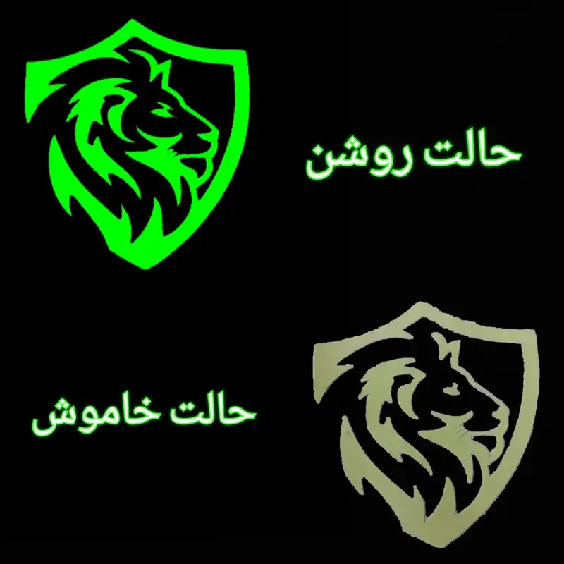 برچسب بدنه خودرو مدل شب نما