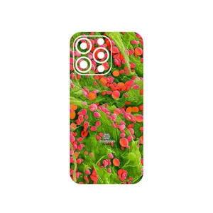 MAHOOT Atom Universe 3 Cover Sticker for Apple iphone 13 Pro