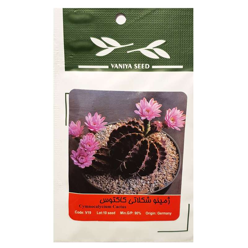 بذر ژمینو شکلاتی کاکتوس وانیا سید مدل A-002