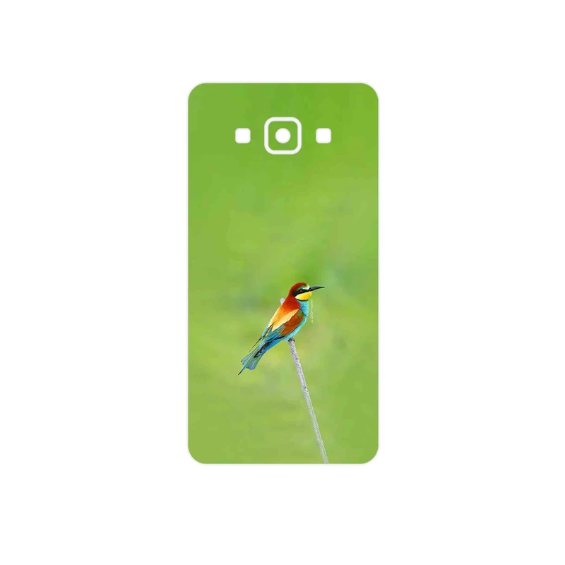 برچسب پوششی ماهوت مدل European bee-eater مناسب برای گوشی موبایل سامسونگ Galaxy A5