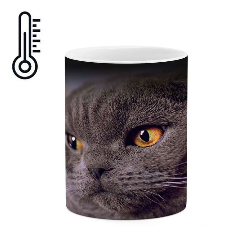 ماگ حرارتی کاکتی مدل گربه کد mgh16620