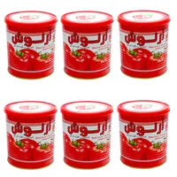 کنسرو رب گوجه فرنگی آرنوش - 800 گرم مجموعه 6 عددی