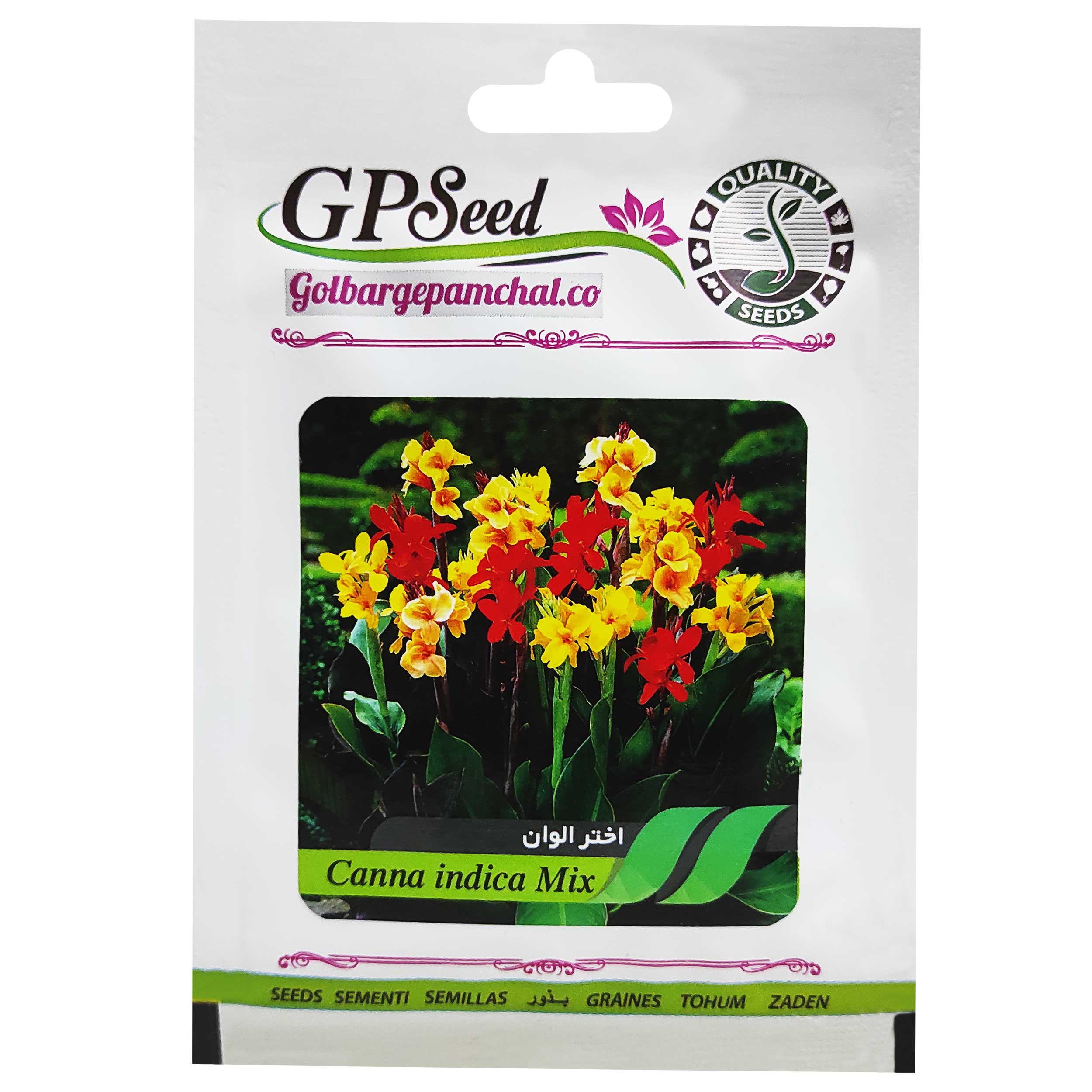 بذر گل اختر گلبرگ پامچال کد GPF-099