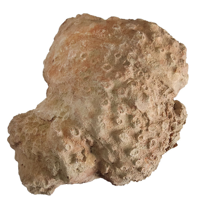 سنگ راف مرجانی مدل s2