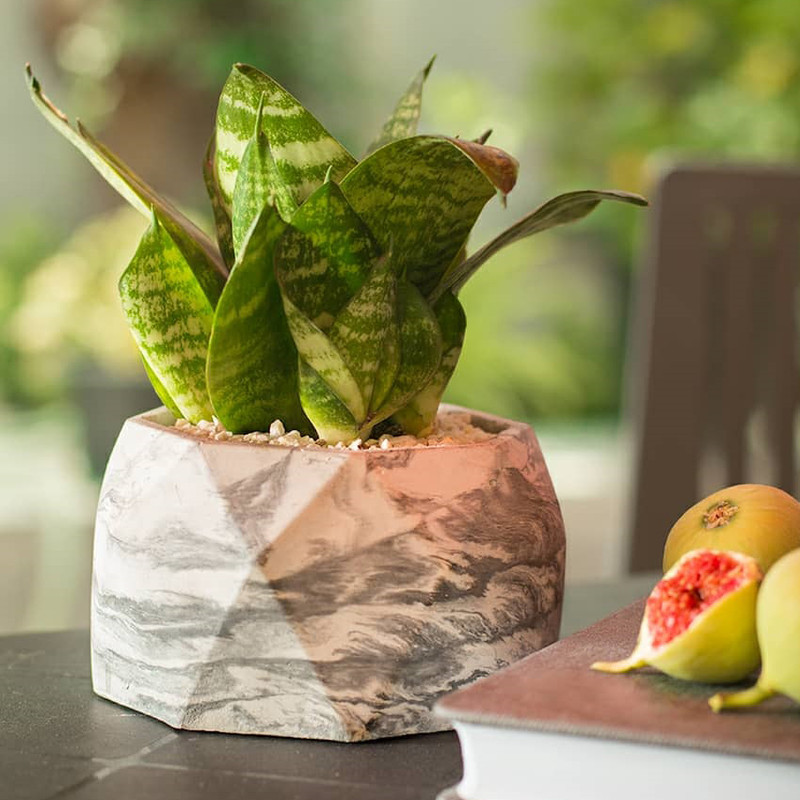 گلدان مدل SPL02-B