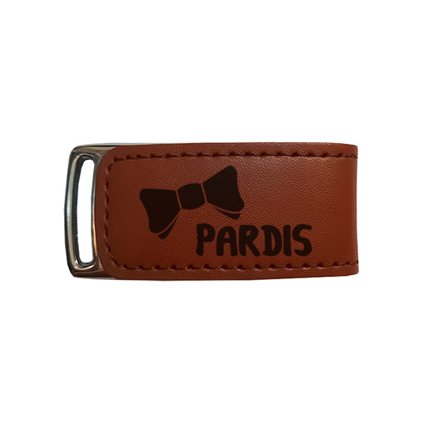 فلش مموری مدل پردیس ظرفیت 16 گیگابایت