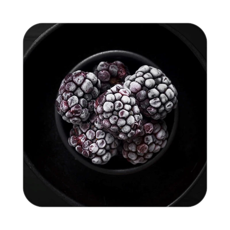 زیر لیوانی کاکتی طرح میوه مدل mp22218