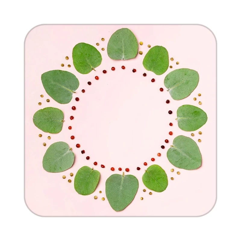 زیر لیوانی کاکتی طرح گل مدل mp19035