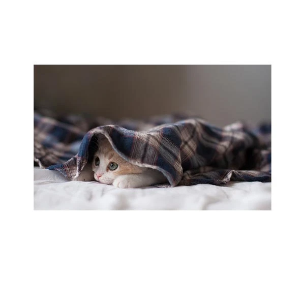    پادری طرح حیوانات کد M35M001-MA0021 سایز 76x46 سانتی متر