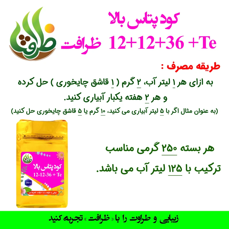 عکس شماره 3