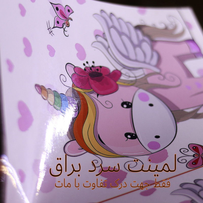 طلق لمینت سرد ولف مدل مات بسته 10 عددی