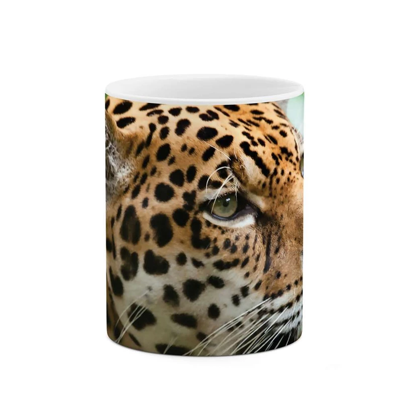 ماگ کاکتی مدل پلنگ کد mgh10256