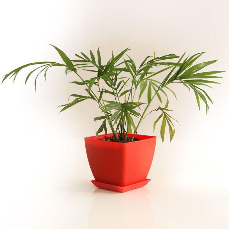 گلدان طرح اریکا کد 025