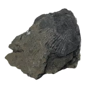 سنگ راف مدل فسیل صدفی کد 201 کلکسیونی