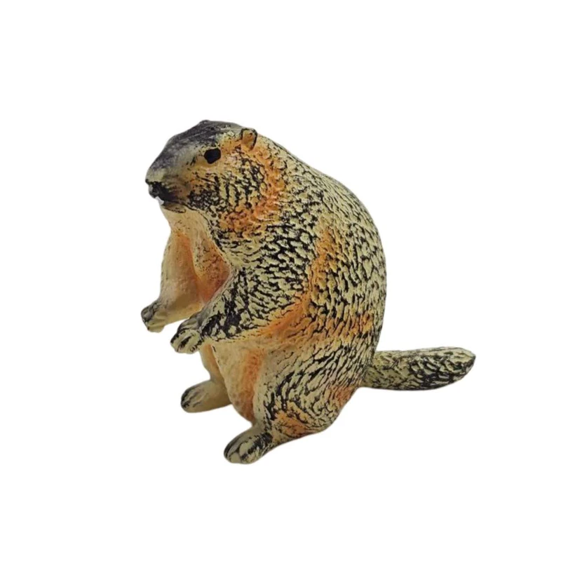 فیگور ناب سل مدل سنجاب MARMOT ارتفاع 4 سانتی‌متر