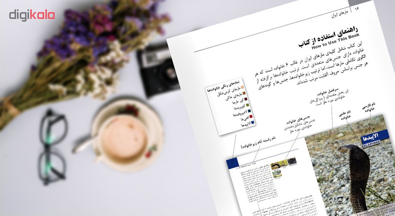 کتاب مارهای ایران اثر مهدی رجبی زاده انتشارات ایرانشناسی کتاب مارهای ایران اثر مهدی رجبی زاده انتشارات ایرانشناسی
