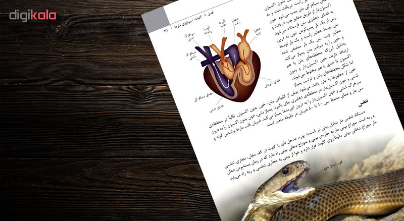 کتاب مارهای ایران اثر مهدی رجبی زاده انتشارات ایرانشناسی کتاب مارهای ایران اثر مهدی رجبی زاده انتشارات ایرانشناسی