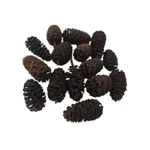 میوه تزئینی مدل توسکا بسته 15 عددی