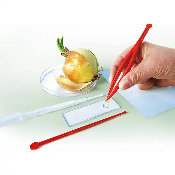 میکروسکوپ مدل کلمنتونی کد 61324