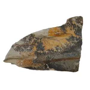 سنگ راف شجر مدل فسیلی کد 138