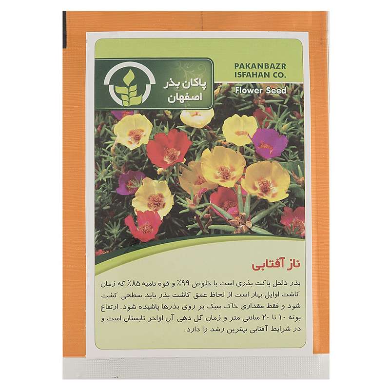 بذر گل ناز آفتابی پاکان بذر