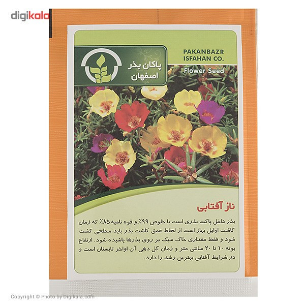 بذر گل ناز آفتابی پاکان بذر