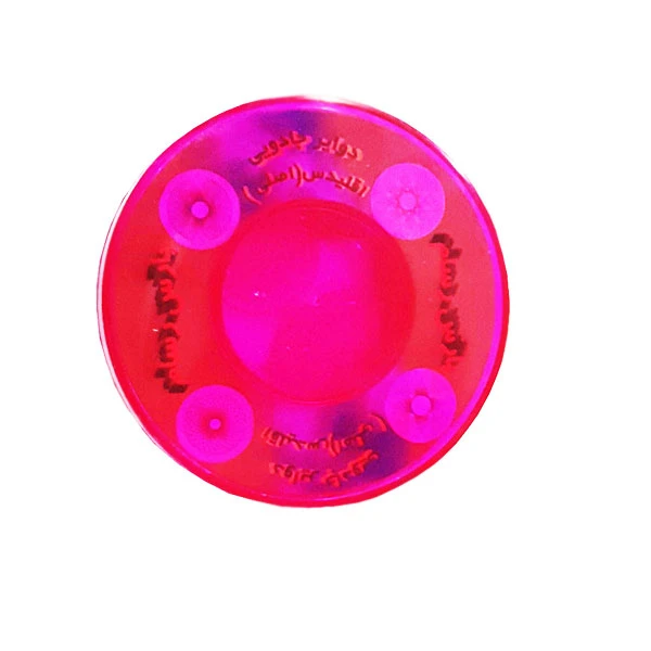 خط کش دوایر جادویی پارس رسام کد 02